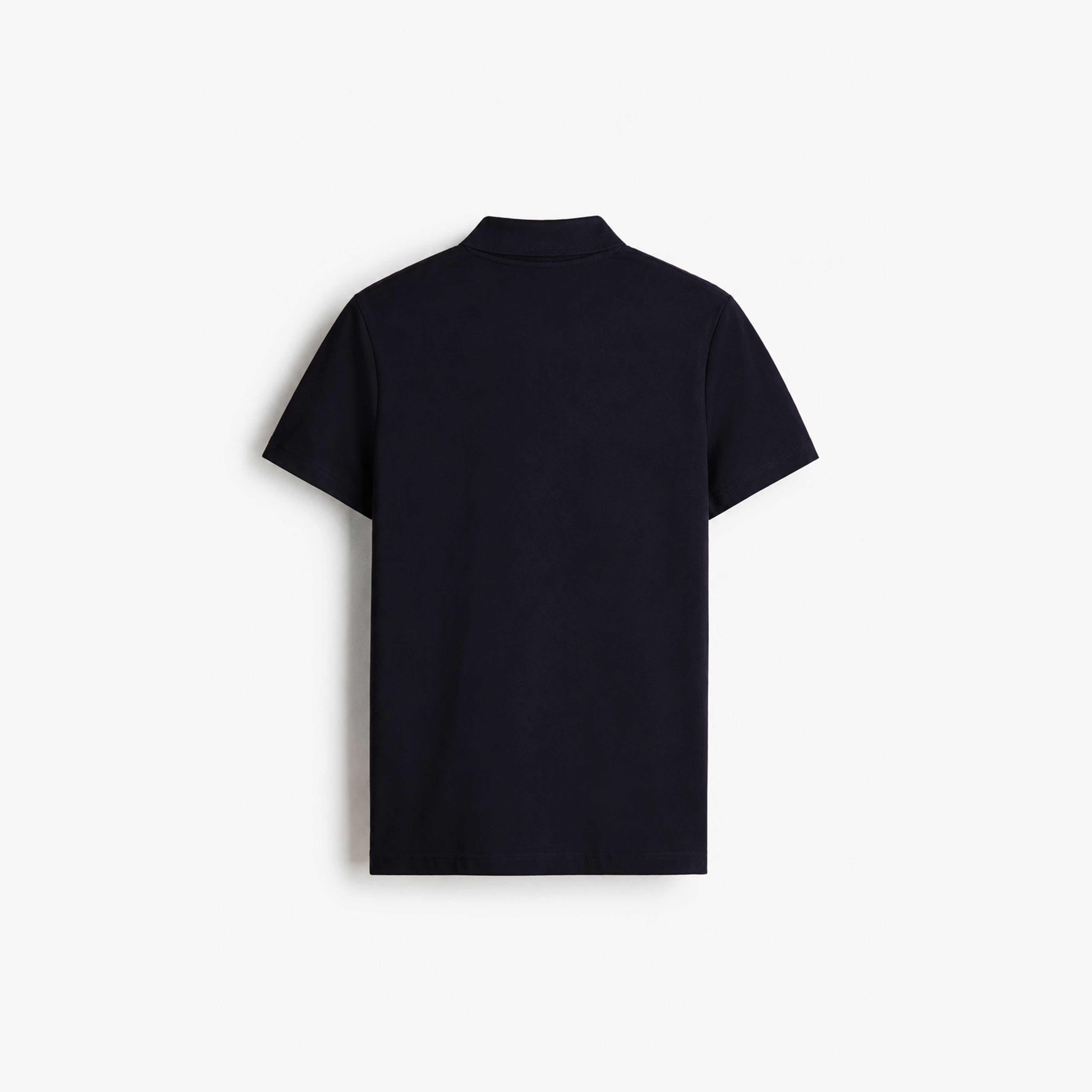 Studio Polo