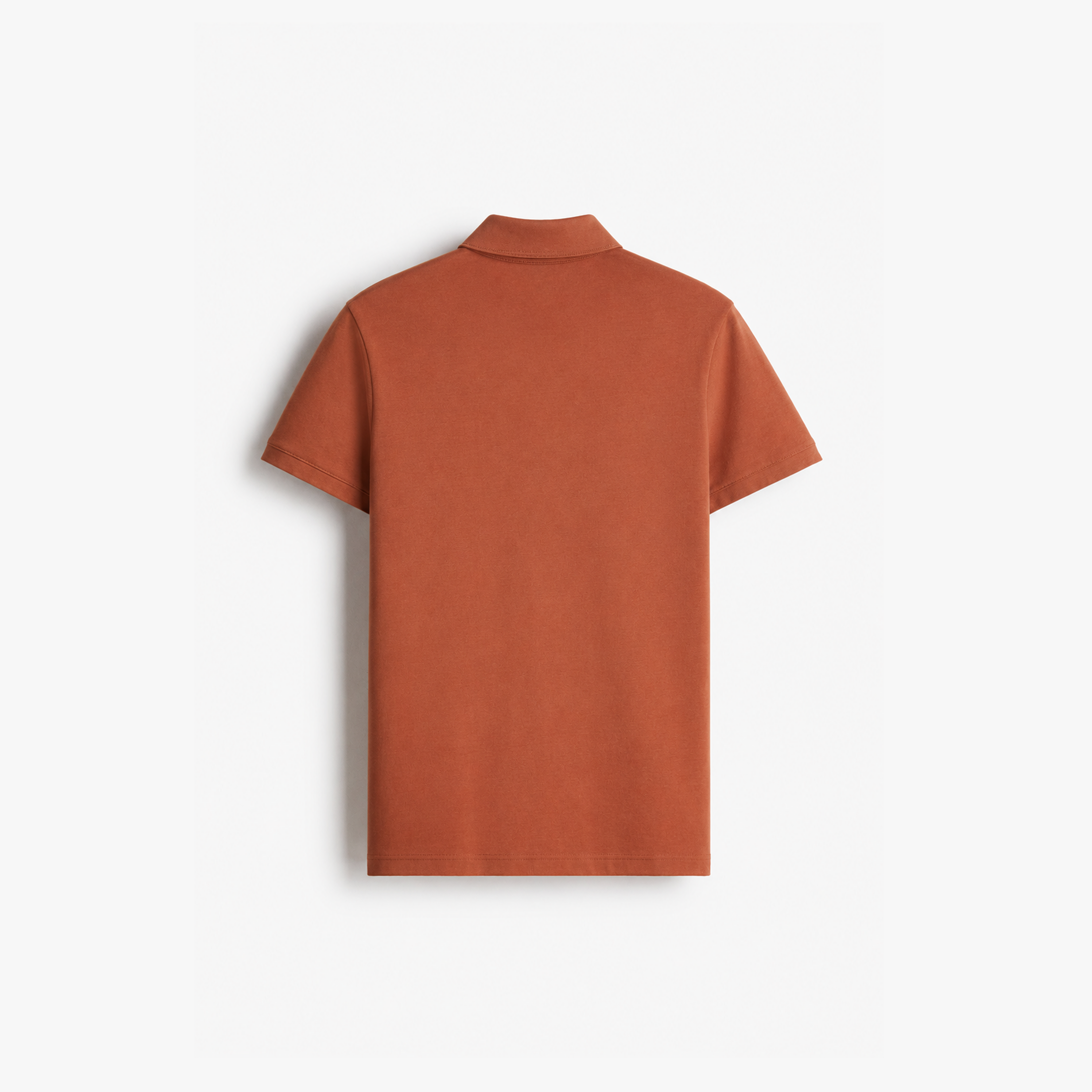 Studio Polo