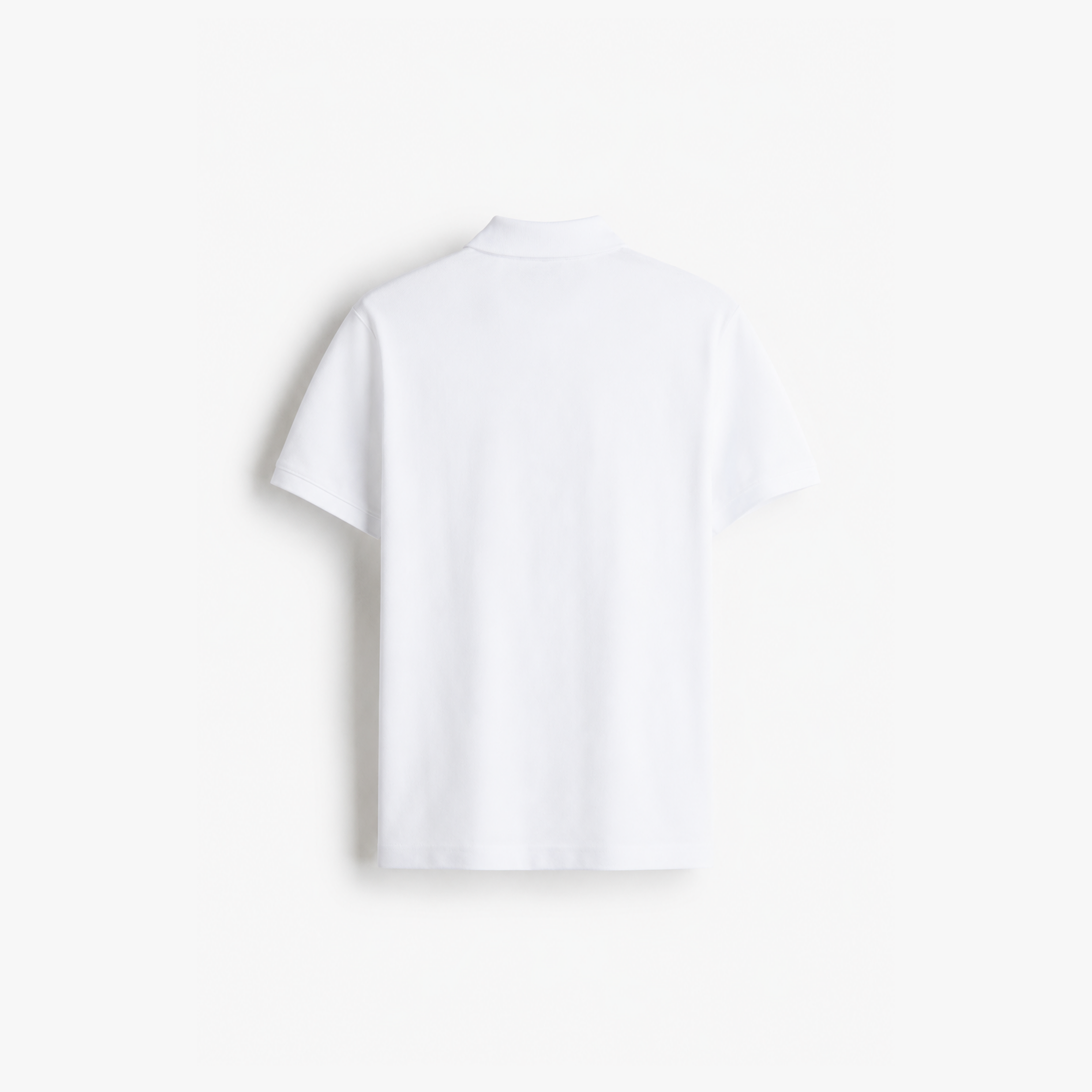 Studio Polo