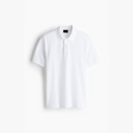 Studio Polo