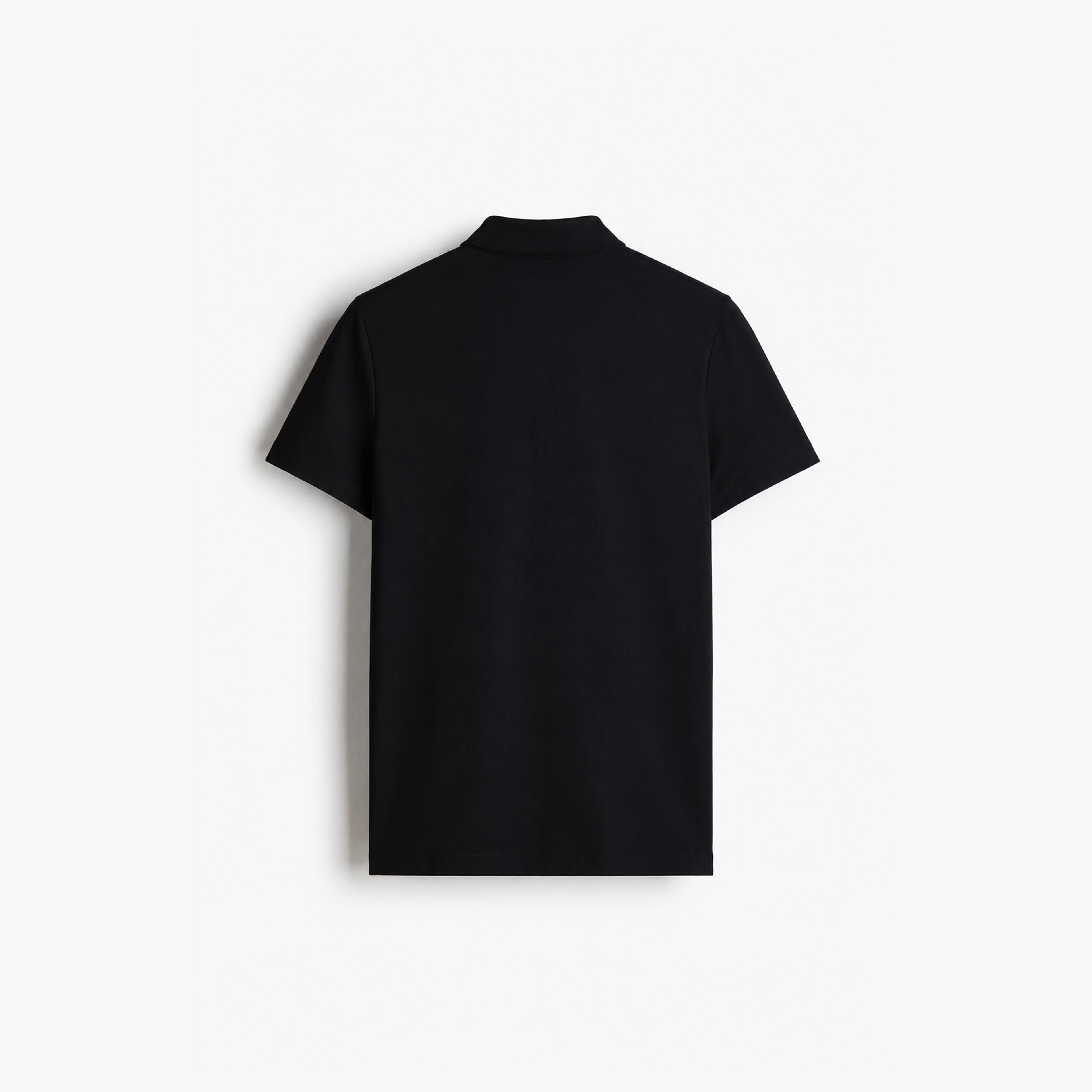 Studio Polo