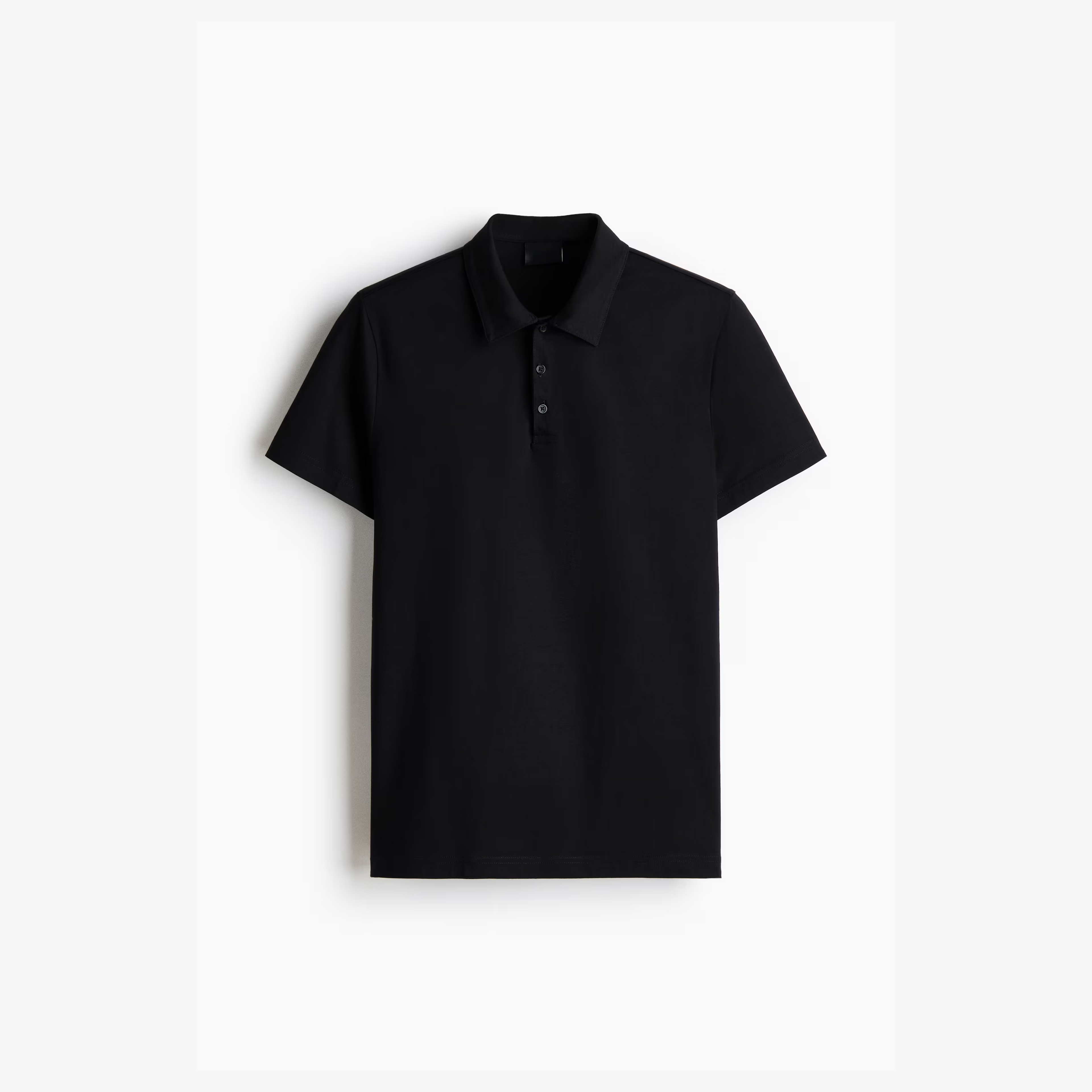 Studio Polo